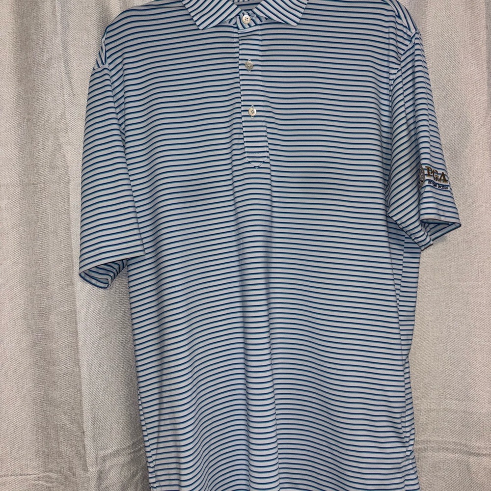 Turtleson Blue and White Striped Polo